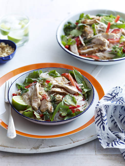 Натюрморт тайського стилю курячий салат з локшиною, чилі та лаймом на столі — стокове фото