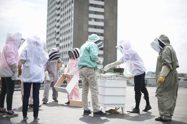 Group of beekeepers inspecting hive — Stock Photo