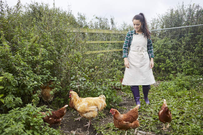 Mujer usando delantal en granja de pollo - foto de stock