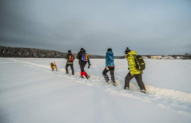 Kleine Gruppe von Freunden und Hund beim Gassigehen im Schnee — Stockfoto