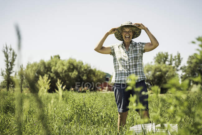 Mulher no campo usando chapéu de sol colhendo espargos olhando para a câmera sorrindo — Fotografia de Stock