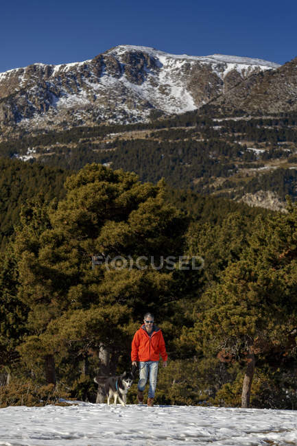 Человек выгуливает собаку в заснеженном горном пейзаже — стоковое фото