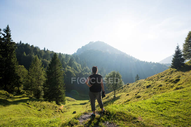 Vista trasera del hombre de pie en la ladera mirando hacia otro lado, Passo Maniva, Italia - foto de stock