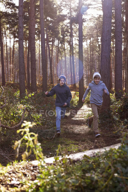 Hermanos gemelos corriendo por el bosque - foto de stock