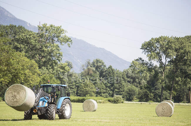 Harvesting tractor loading haystacks in field — Stock Photo