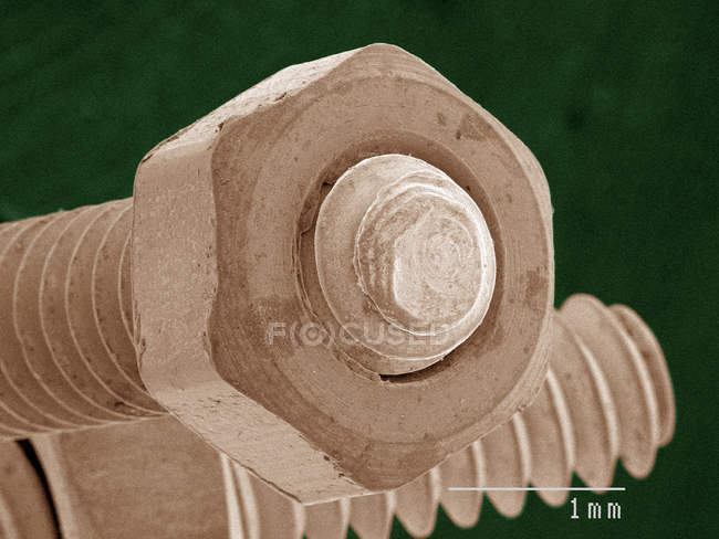 Coloured scanning electron micrograph of nut and bolt — Stock Photo