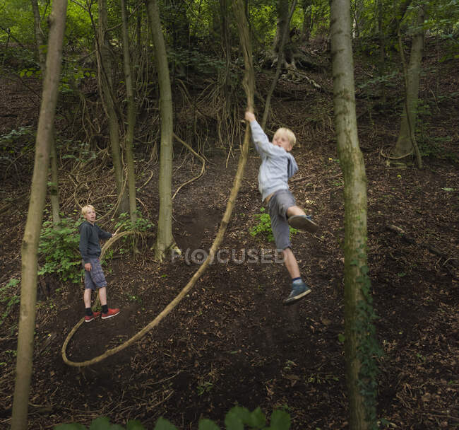 Niño en el bosque balanceándose en el árbol - foto de stock