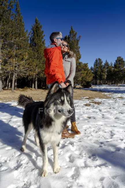 Доросла пара з собакою в сніжному покритому лісі — стокове фото