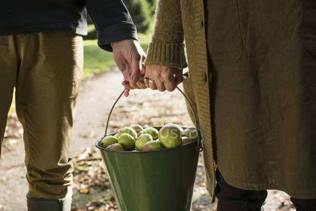 Cropped image of senior Couple carrying bucket of apples — Stock Photo