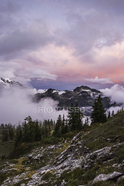 Clouds above snowcapped mountains with pine trees — Stock Photo