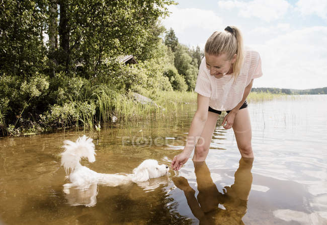 Женщина с собакой Coton de tulear в озере, Оривеси, Финляндия — стоковое фото