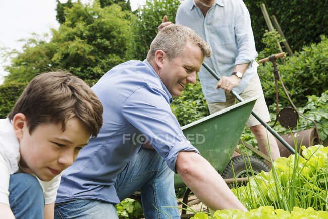 Pai e filho jardinagem — Fotografia de Stock