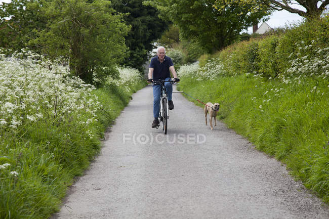 Senior man riding bike on country lane with dog — Stock Photo