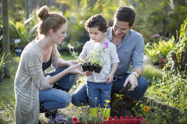 Couple and son looking at plants on allotment — Stock Photo
