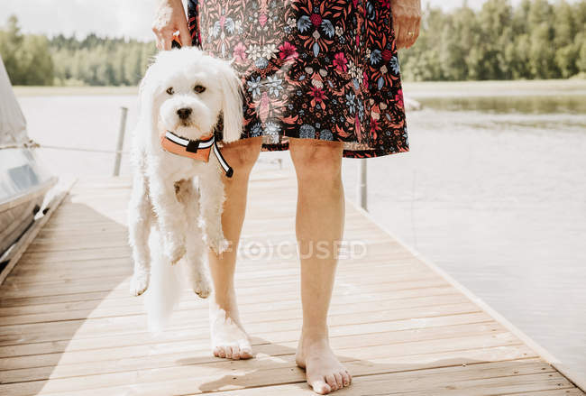 Mulher carregando cotão de tulear cão vestindo colete salva-vidas no cais do lago, Orivesi, Finlândia — Fotografia de Stock