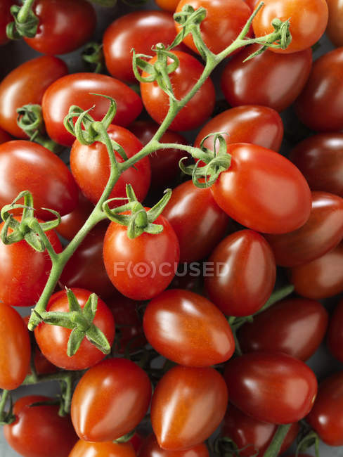 Vista de cerca de tomates rojos maduros deliciosos - foto de stock