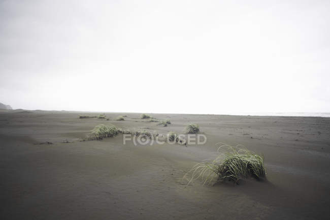 Vista panorámica de la playa de Karekare, Karekare, Nueva Zelanda - foto de stock