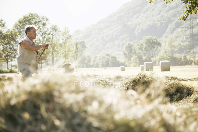 Maduro masculino agricultor raking colheita no campo — Fotografia de Stock