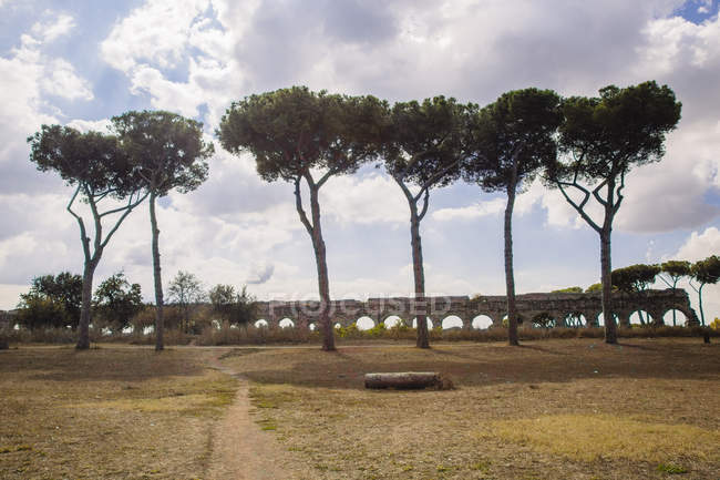 Vista del antiguo acueducto, Parco degli Acquedotti, Roma, Italia - foto de stock