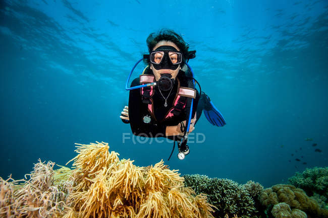 Молодая женщина смотрит на твердые и мягкие кораллы в то время как подводное плавание, Moalboal, Себу, Филиппины — стоковое фото
