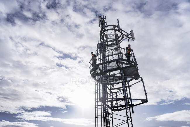 Engineers on the top of a transmission tower — Stock Photo