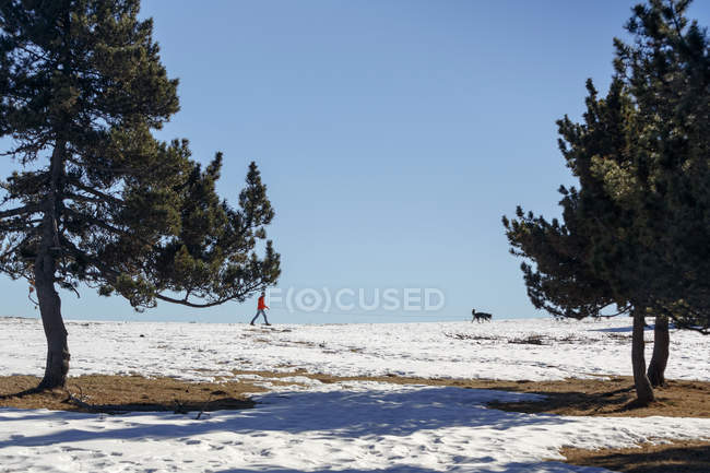 Человек выгуливает собаку в заснеженном горизонте — стоковое фото