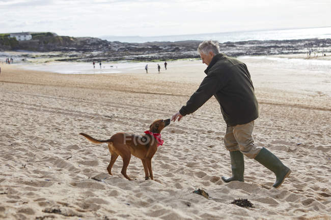 Hombre y perro en la playa, Constantine Bay, Cornwall, Reino Unido - foto de stock