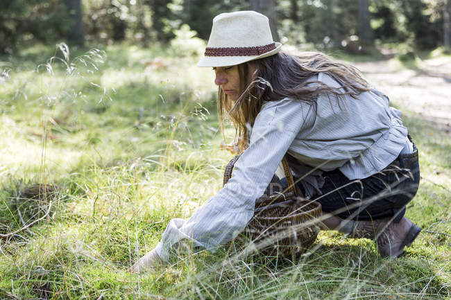 Mujer madura buscando setas en el bosque - foto de stock