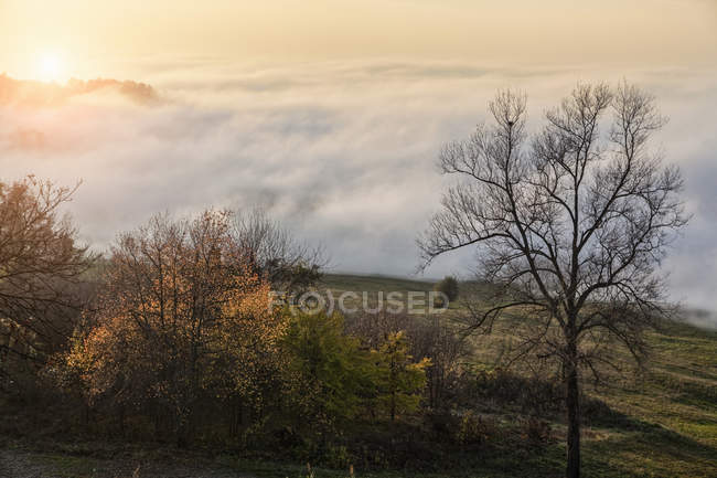 Paysage avec brume de vallée au coucher du soleil, Langhe, Piémont. Italie — Photo de stock