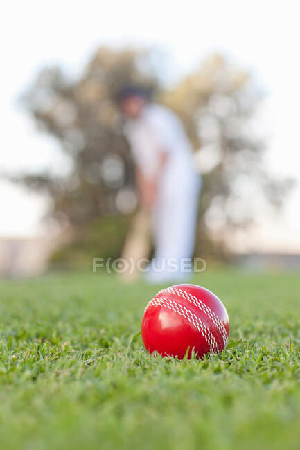 Крикетный мяч с мужчиной на заднем плане — стоковое фото