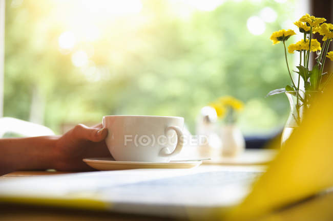Imagem cortada de mulher usando laptop no coffee break — Fotografia de Stock