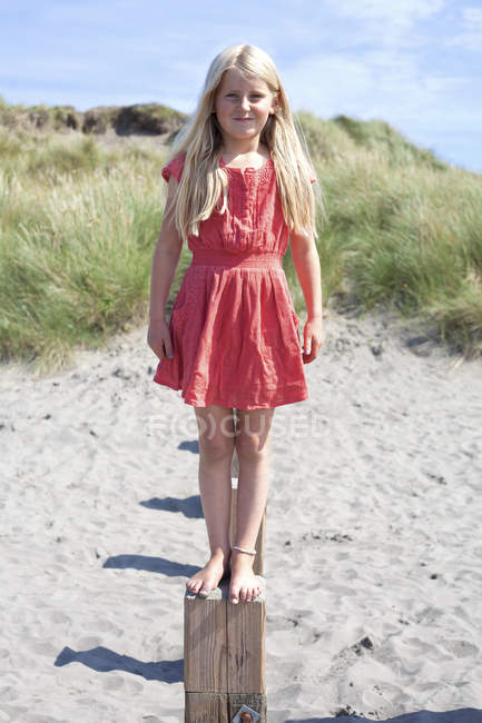 Porträt eines Mädchens, das auf einer hölzernen Groyne steht, wales, uk — Stockfoto