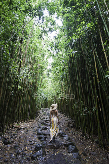 Jeune femme marchant dans un bambou, Hana, Maui, Hawaï — Photo de stock