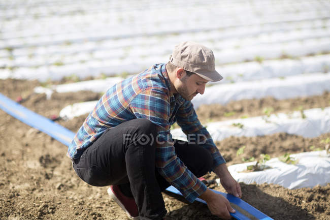 Agricultor no campo que cuida de mudas — Fotografia de Stock