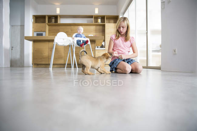 Chica jugando con el cachorro en el piso del comedor - foto de stock