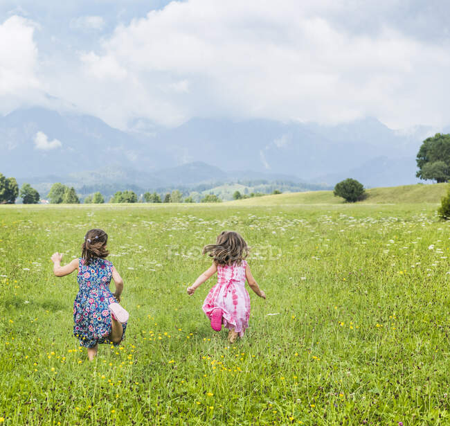 Visão traseira de garotas correndo no campo, Fuessen, Baviera, Alemanha — Fotografia de Stock