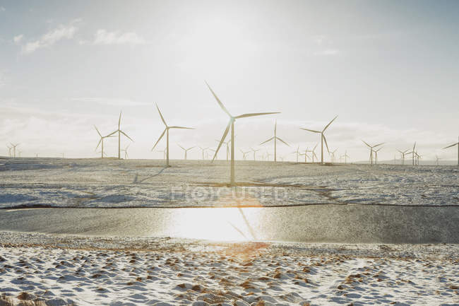 Windräder auf sandiger Landschaft — Stockfoto
