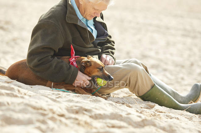 Человек и собака, сидящие на пляже, залив Константин, Корнуолл, Великобритания — стоковое фото