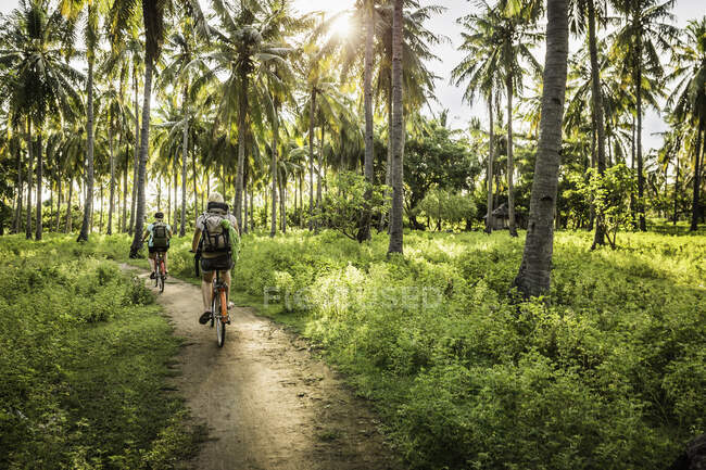 Vista trasera de dos mujeres jóvenes en bicicleta en el bosque de palmeras, Gili Meno, Lombok, Indonesia - foto de stock