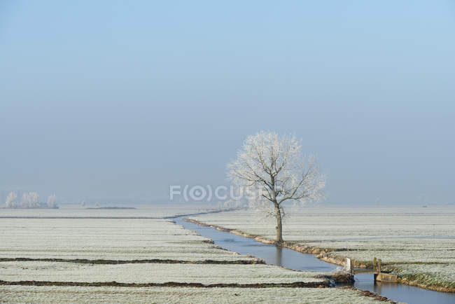 Paysage du polder en hiver, Meerkerk, Hollande-Méridionale, Pays-Bas — Photo de stock