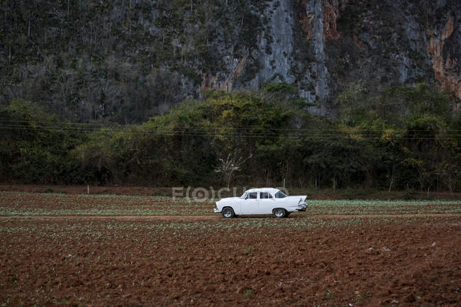 Retro white car in rural landscape by mountain — Stock Photo