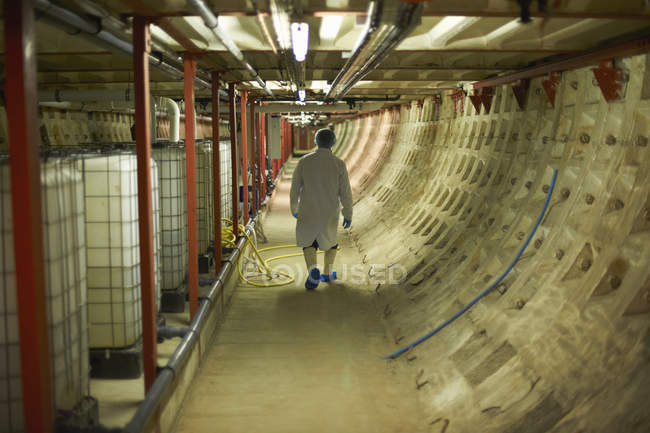 Vista posteriore a tutta lunghezza del lavoratore che cammina lungo il corridoio indossando una rete di capelli e soprascarpe monouso — Foto stock