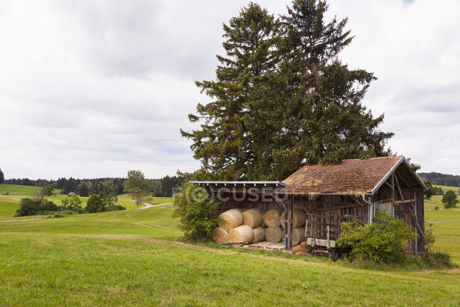Paisagem de campo com palheiros no celeiro tradicional — Fotografia de Stock