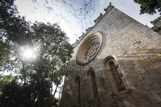 Cloister, Cistercian monastery, Santes Creus, Aiguamurcia, Catalonia, Spain — Stock Photo