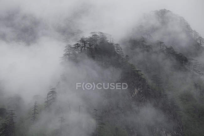 Colinas cubiertas de niebla, Durmitor, Montenegro - foto de stock