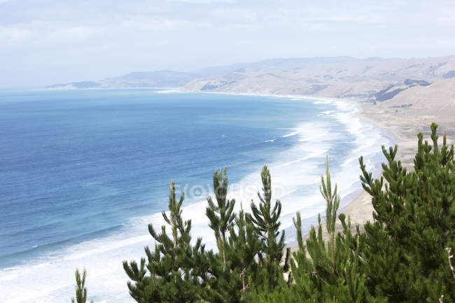 Серфинг волны на береговой линии с еловыми деревьями на переднем плане — стоковое фото