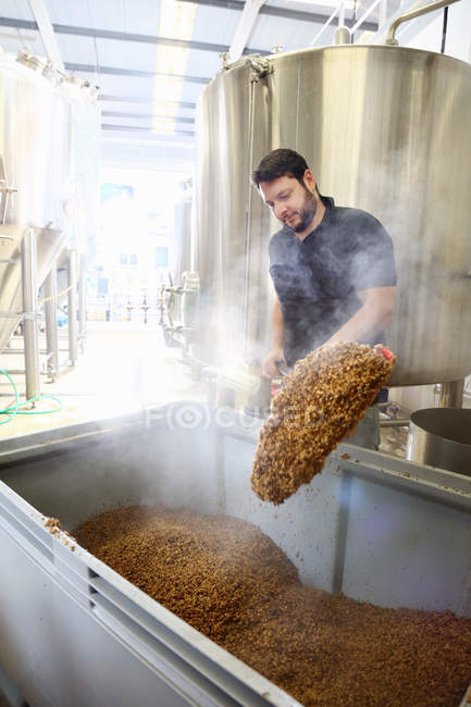 Trabalhador na cervejaria, esvaziando grãos de mash tun — Fotografia de Stock