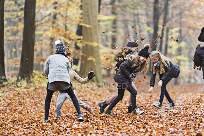Chicas jugando con hojas en el bosque de otoño - foto de stock