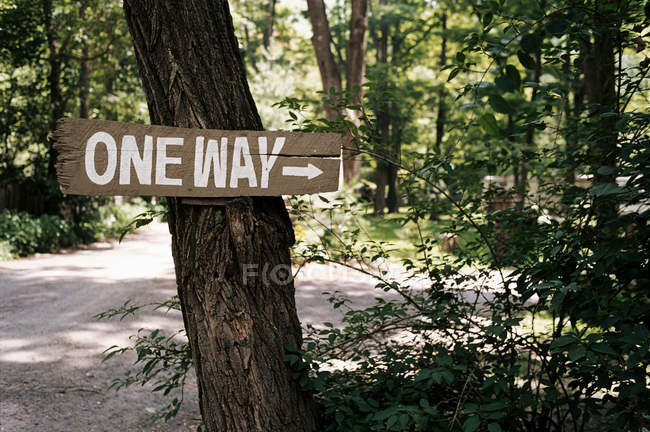 One way wooden sign — Stock Photo