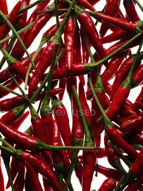 Крупным планом вид спелых красных перцев чили, полная рамка — стоковое фото